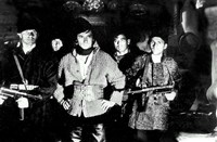 Белая птица с черной отметиной