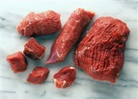 Белки (животные)