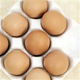 Белки (яйца)