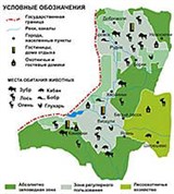 Беловежская пуща (схема)