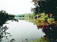 Березовские минеральные воды (берег пруда)