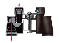 Бинокль (призменный)