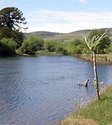 Био-био (берег)