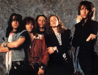 Блэк кроуз (группа)