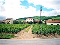 Божоле (пейзаж)