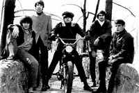 Бокс топс (группа)