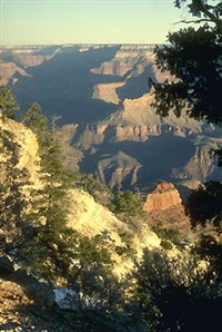 Большой Каньон (утро)