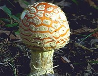 Будьте осторожны