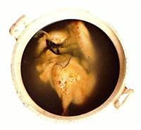 Бульон куриный китайский