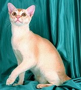 Бурма (красная)