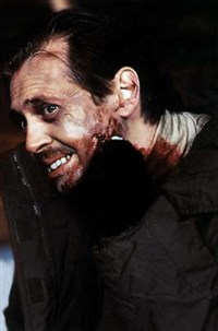 Бушеми Стив ("Фарго")