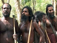 ВЕДДОИДНАЯ РАСА (ведды)