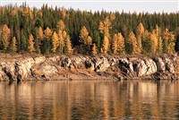 ВЕРХНЯЯ ТАЙМЫРА (берег)