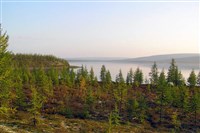 ВИВИ (пейзаж)