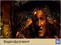 ВИДОК (видеофрагмент)