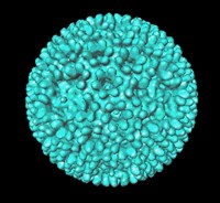 ВИРИОН (модель)