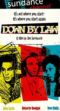 ВНИЗ ПО ЗАКОНУ (постер)