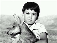 ВОЛЧОНОК СРЕДИ ЛЮДЕЙ