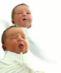 ВРОЖДЕННЫЕ РЕФЛЕКСЫ