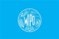 ВСЕМИРНАЯ ОРГАНИЗАЦИЯ ИНТЕЛЛЕКТУАЛЬНОЙ СОБСТВЕННОСТИ (флаг)