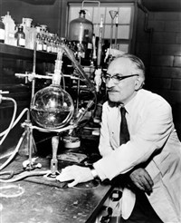 Ваксман Зельман (портрет)