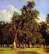 Вальдмюллер Фердинанд (Старые вязы в Пратере)