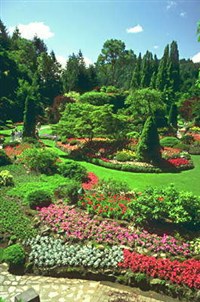 Ванкувер (остров)