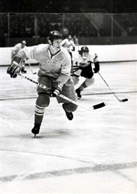 Васильев Валерий Иванович (в игре)