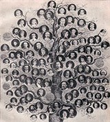 Виктория (королева) (дерево)