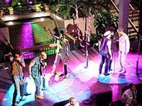 Виллидж Пипл (на концерте)