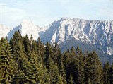 Вильдер-Кайзер—Бриксенталь (Хвойный лес в горах)