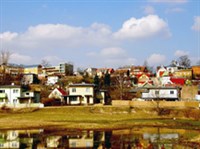 Вильянди (вид)