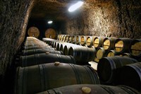 Вино (винный погреб)