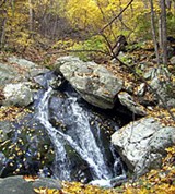 Вирджиния (Национальный парк «Шенандоа»)