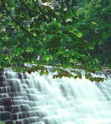 Вирджиния (дамба в горах Блю-Ридж)