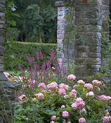 Висбю (ботанический сад)