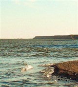 Волга (русло)