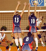 Волейбол (блок)