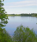 Волхов (берег)