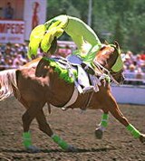 Вольтижировка (2)