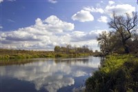 Ворона (у берега реки)