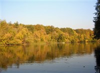 Воронеж (осенью)