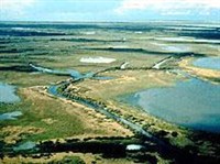 Вуд-Баффало (панорама)