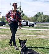 Выдержка собаки (ожидание)