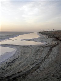 Высокие плато (Шотт-Эль-Джерид)