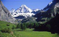 Высокий Тауэрн (вид)