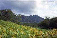 Высокотравье (Камчатка)