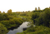 Вязьма (летом)