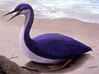 ГЕСПЕРОРНИС (Hesperornis regalis)