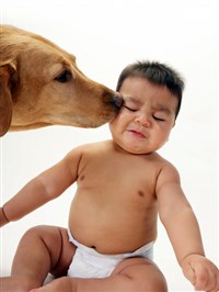 ГРУДНЫЕ ДЕТИ И ЖИВОТНЫЕ В ДОМЕ (малыш и собака)